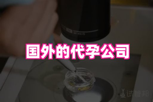 杭州助孕网站 2